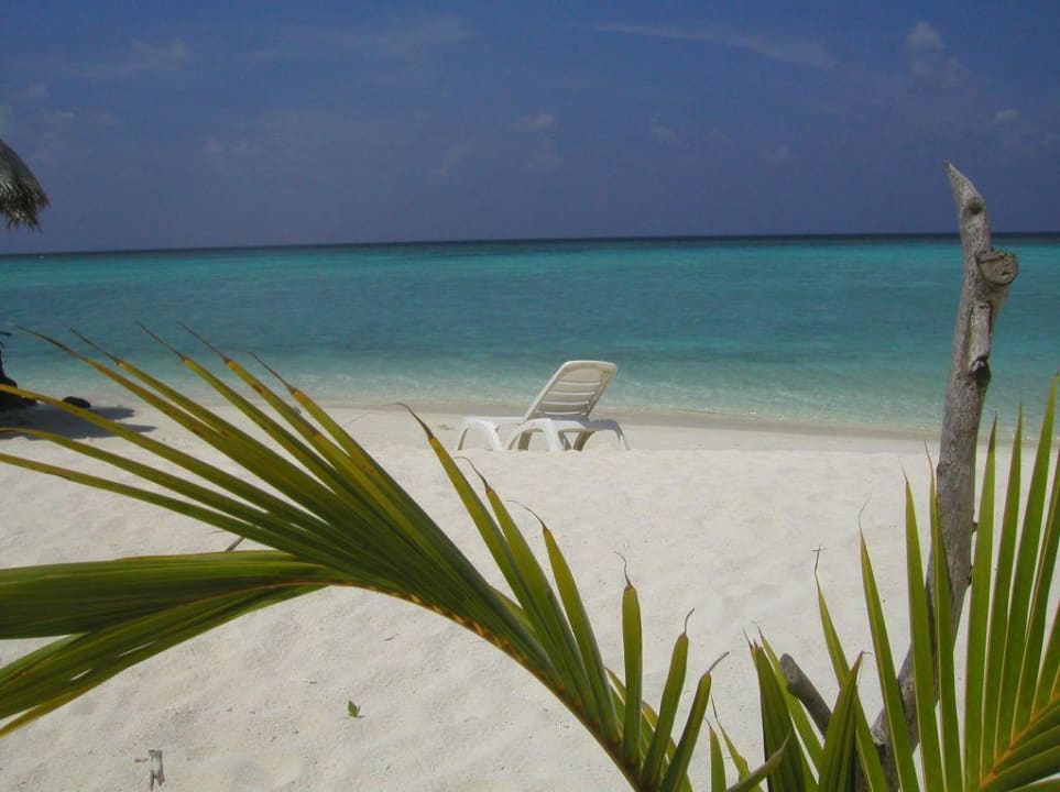 Strand Summer Island Maldives