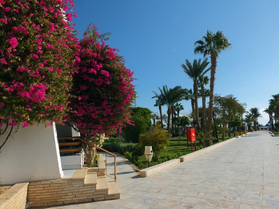 Grand Hotel The Grand Hotel Hurghada