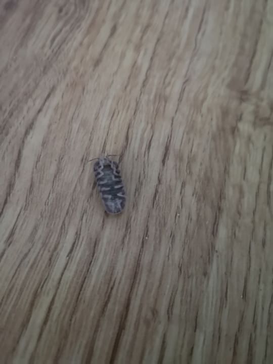 Zimmer Grupotel Rocador