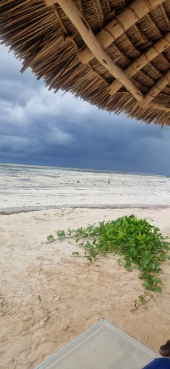 Strand TUI Blue Bahari Zanzibar