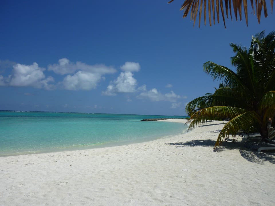 Strand Summer Island Maldives