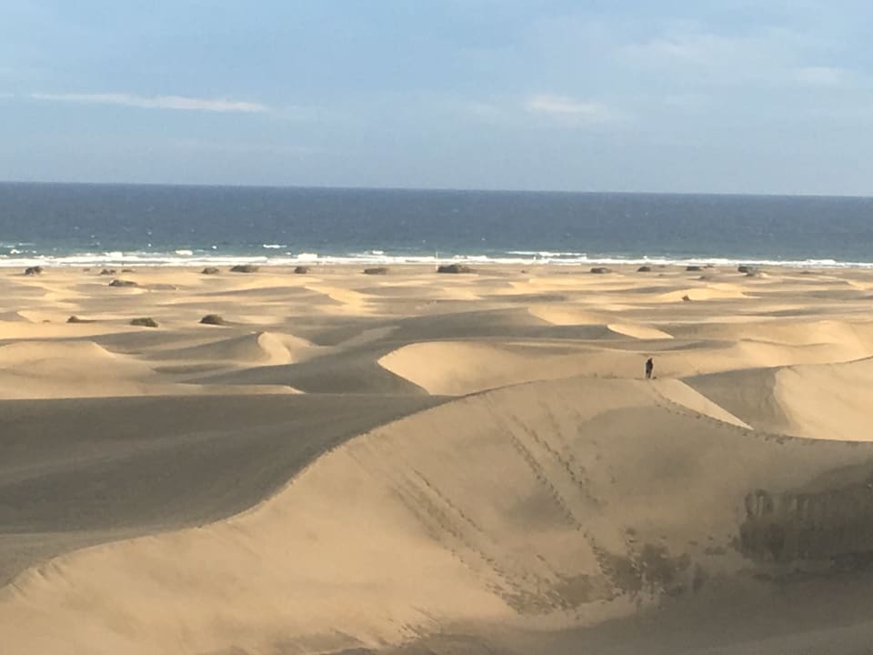 Zimmer Hotel Riu Palace Maspalomas Adults Only