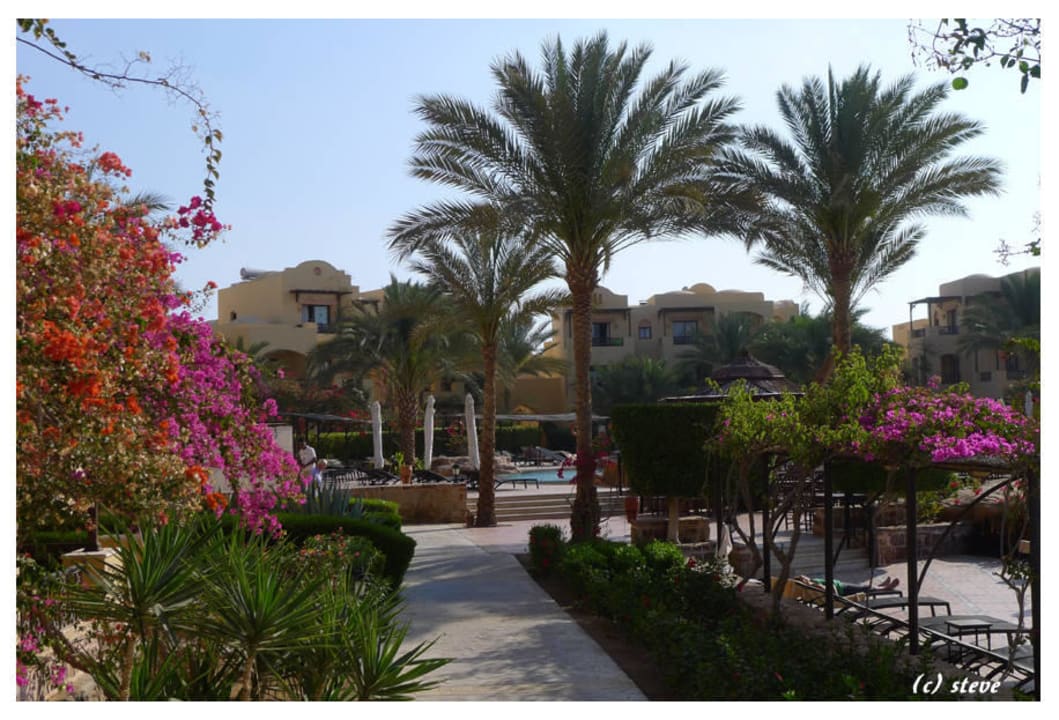 Steigenberger Coraya Beach - Adults only Steigenberger Coraya Beach - Adults only