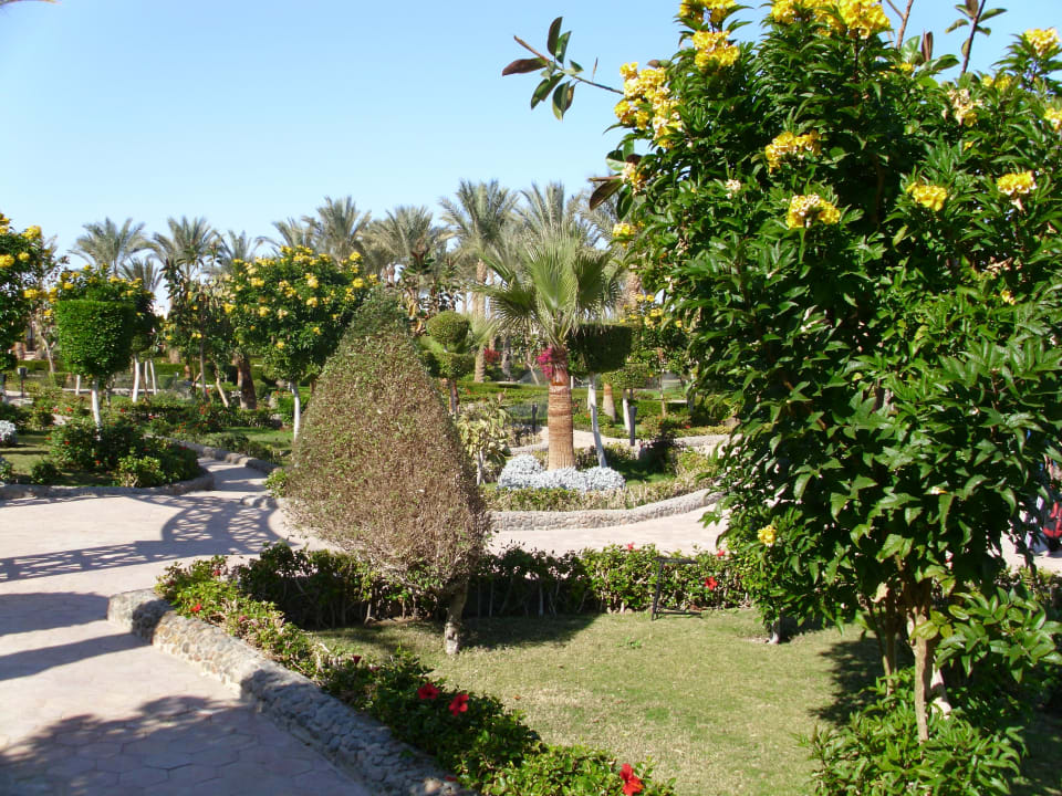 Es blüht auch dort im Januar Le Jardin Aqua Park Resort