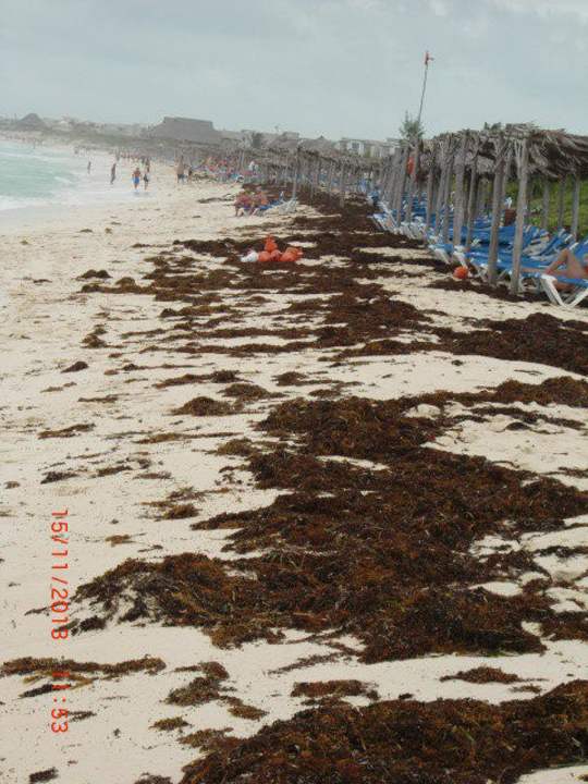 "Noch mal "Traum-Strand" Melia Las Dunas