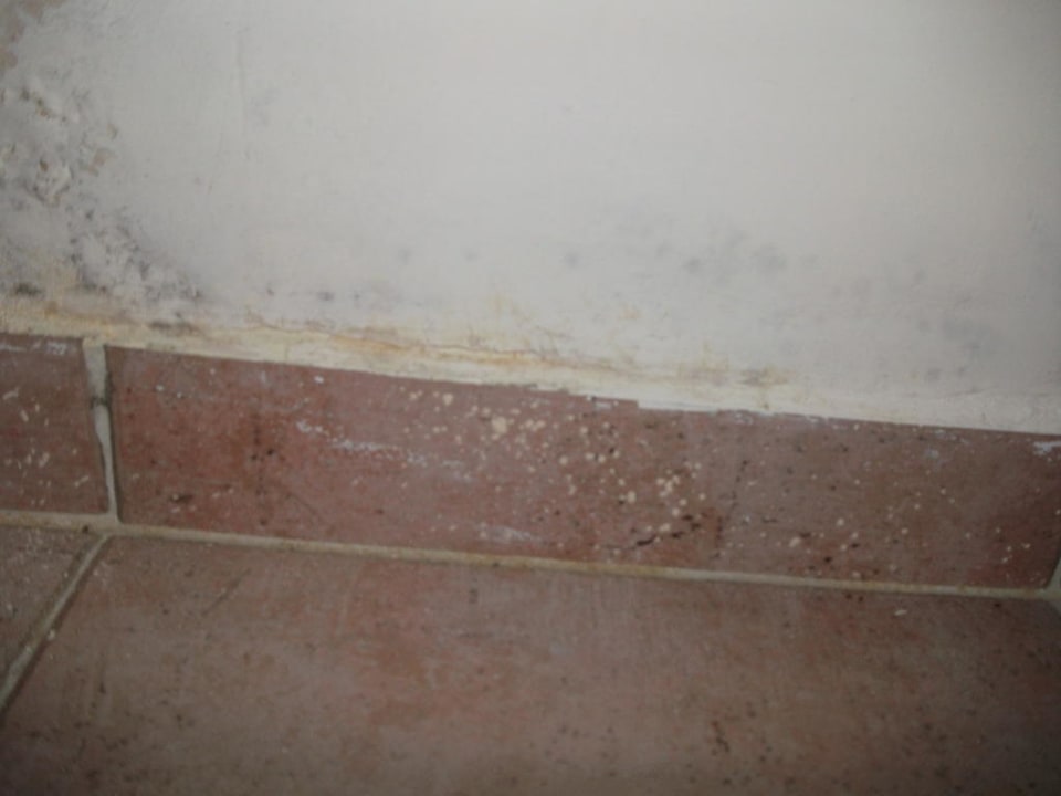 Feuchte Wand Club Dizalya