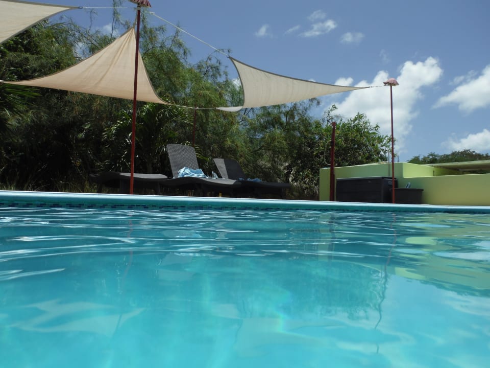 Pool Don Genaro Apartments