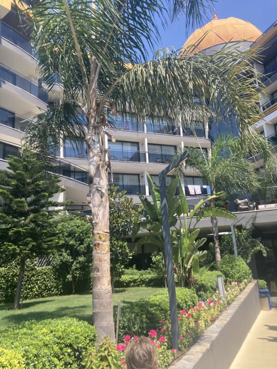 Außenansicht Arnor de Luxe Hotel & Spa