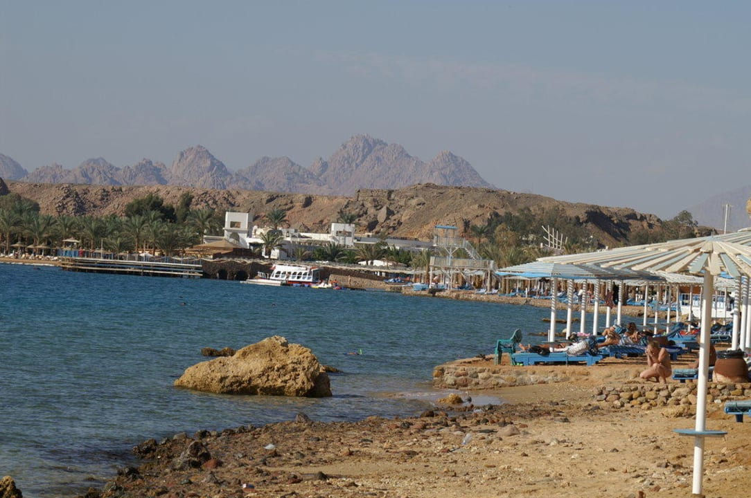 Strand Albatros Sharm Resort