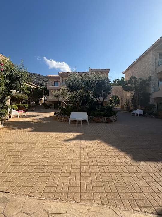 Gartenanlage Cactus Royal