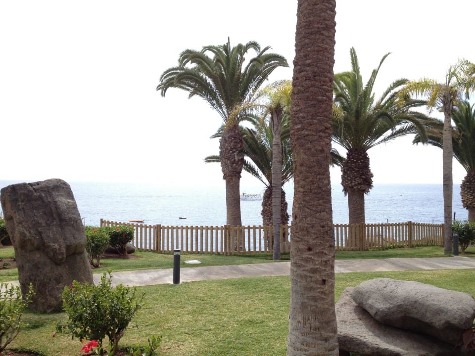 Garten Princess Taurito