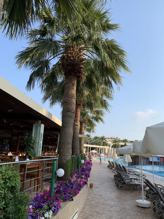 Pool VONRESORT Golden Beach