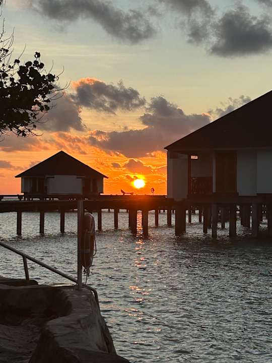 Sonstiges Ellaidhoo Maldives by Cinnamon