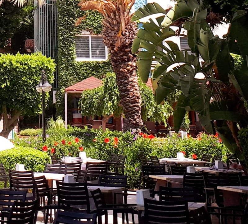 Gastro Hotel Gardenia Beach