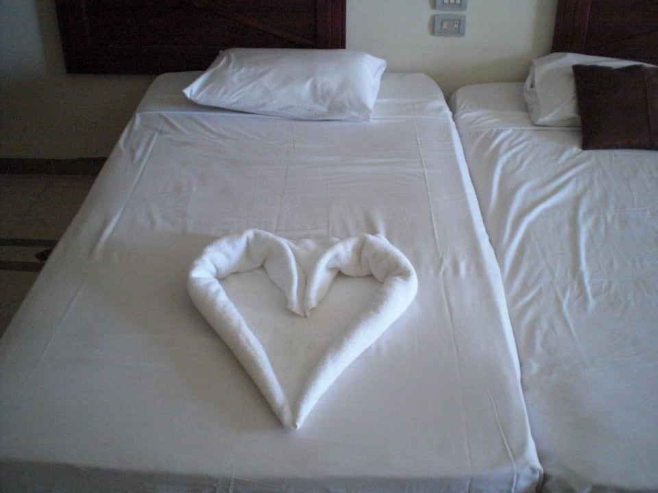 Zimmer Imperial Shams Abu Soma