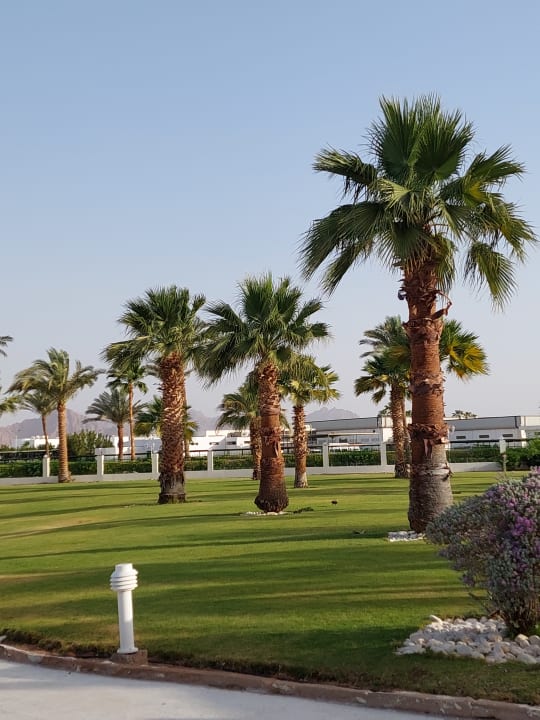 Sport & Freizeit Pickalbatros Golf Beach Resort