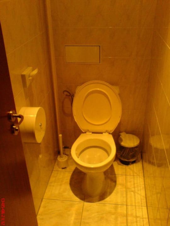 Toaleta w pokoju Hotel Three Crowns Prag