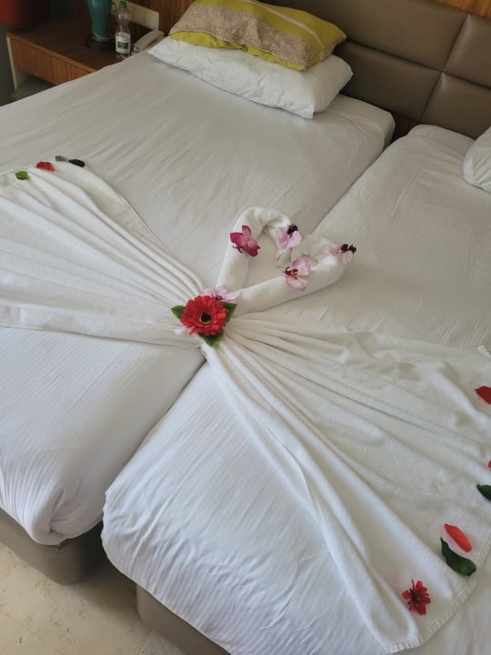 Zimmer PALOMA Perissia