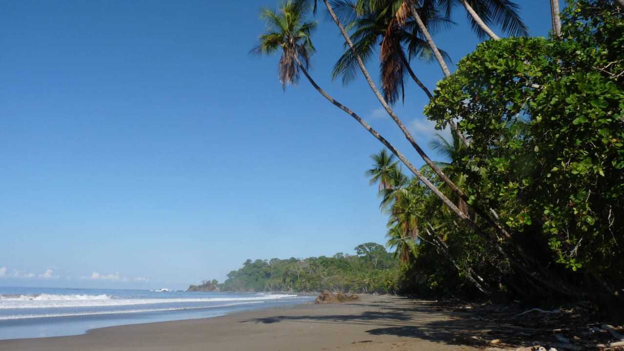 Marino Ballena beach Phidjie Lodge
