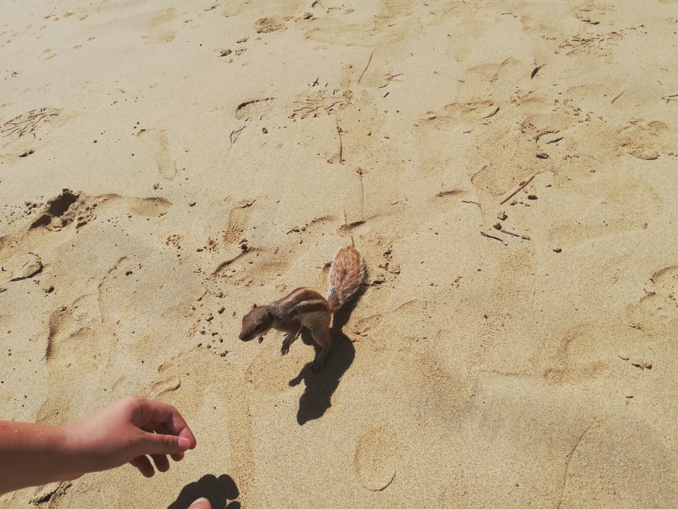 Sonstiges H10 Tindaya