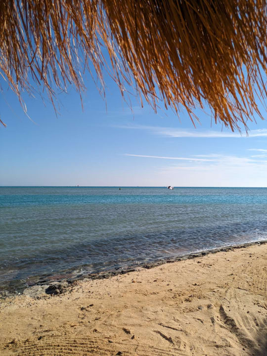 Strand Pickalbatros Sea World Resort - Marsa Alam