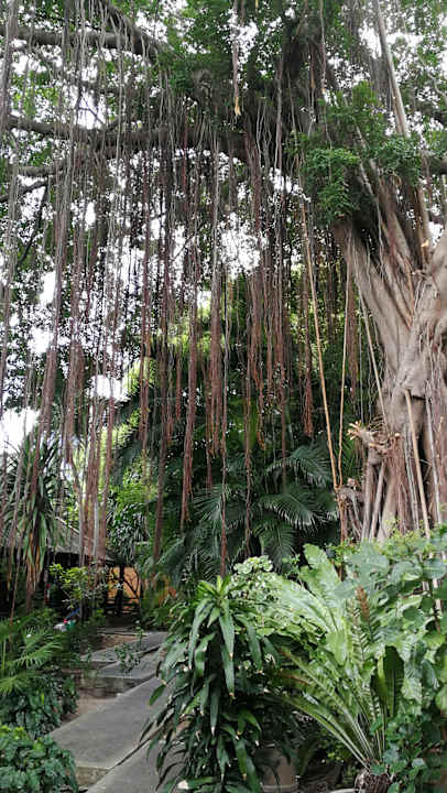 Außenansicht Hotel The Cottage