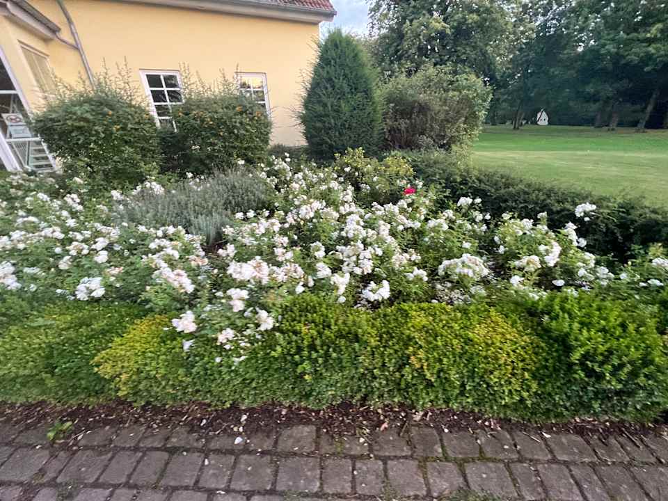 Gartenanlage Gut Gremmelin