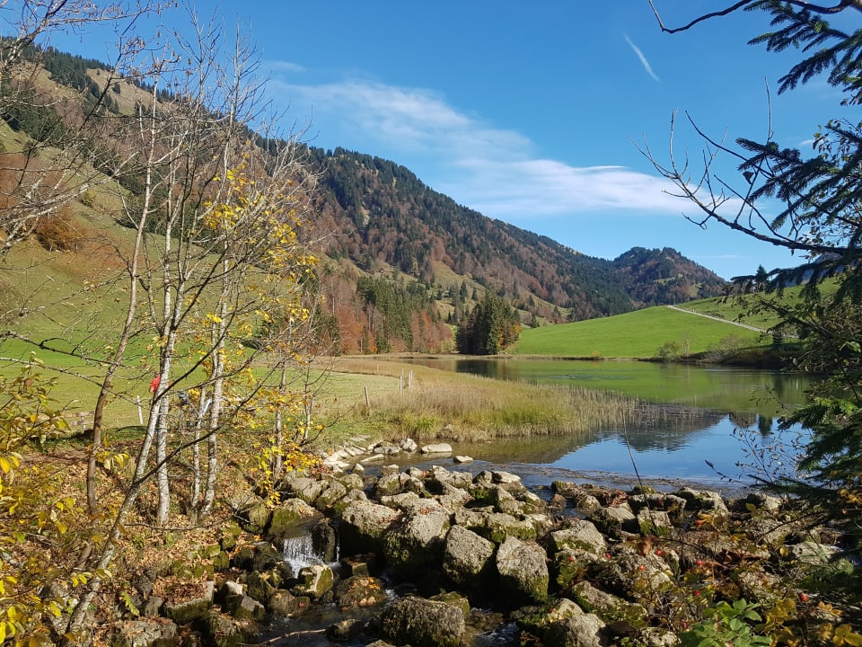 Sonstiges Ferienhof "Alpe Berg"