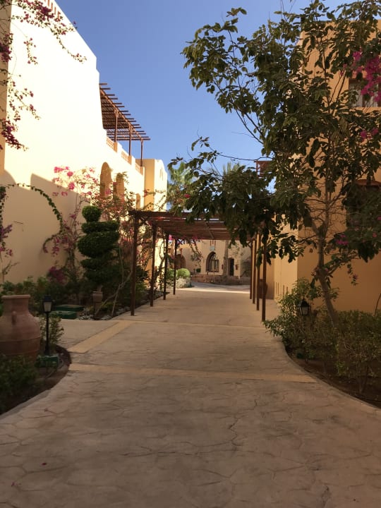 Gartenanlage Steigenberger Coraya Beach - Adults only