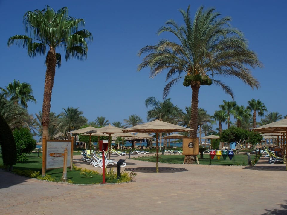 Liegen am Pool Continental Hotel Hurghada