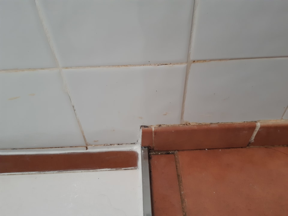 Zimmer Bull Costa Canaria & Spa - Adults only