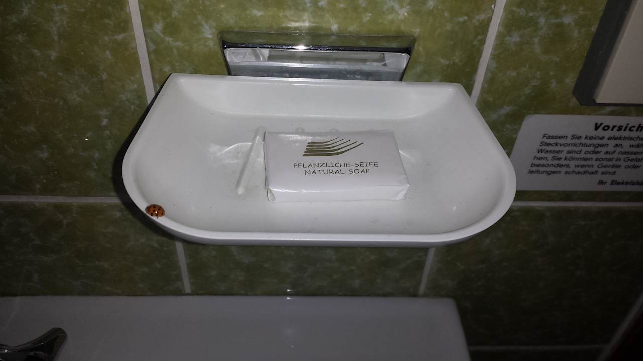 Haustiere Hotel Gasthof zur Eyachbrücke