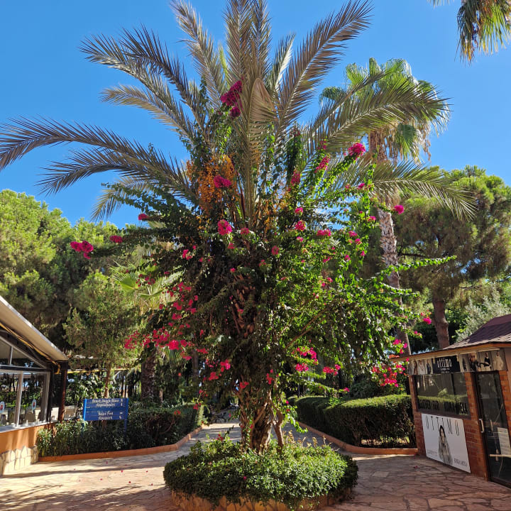 Gartenanlage Club Turtas Beach Hotel