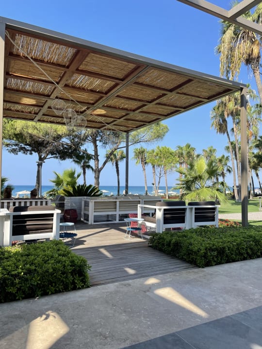 Gastro Acanthus Cennet Barut Collection