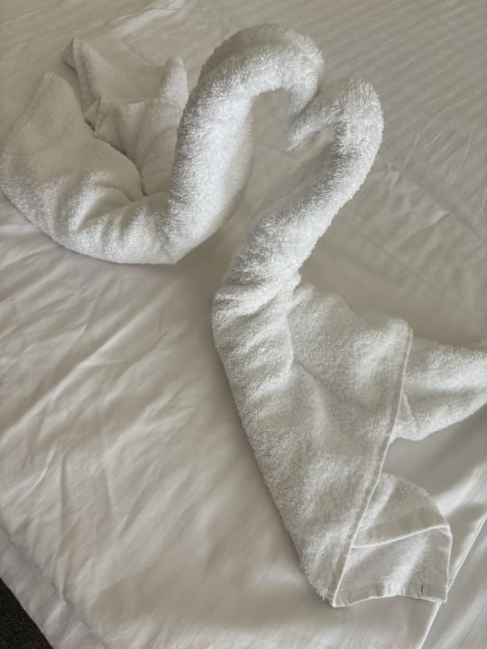 Zimmer Hotel Laguna Park & Aqua Club