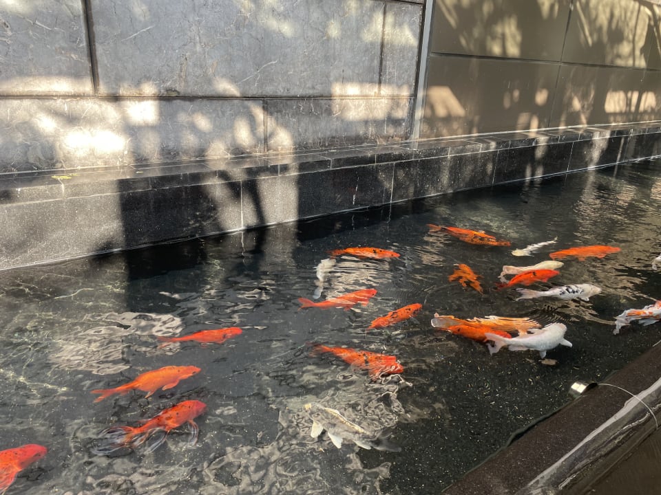 Gartenanlage The Leela Ambience Convention Hotel Delhi