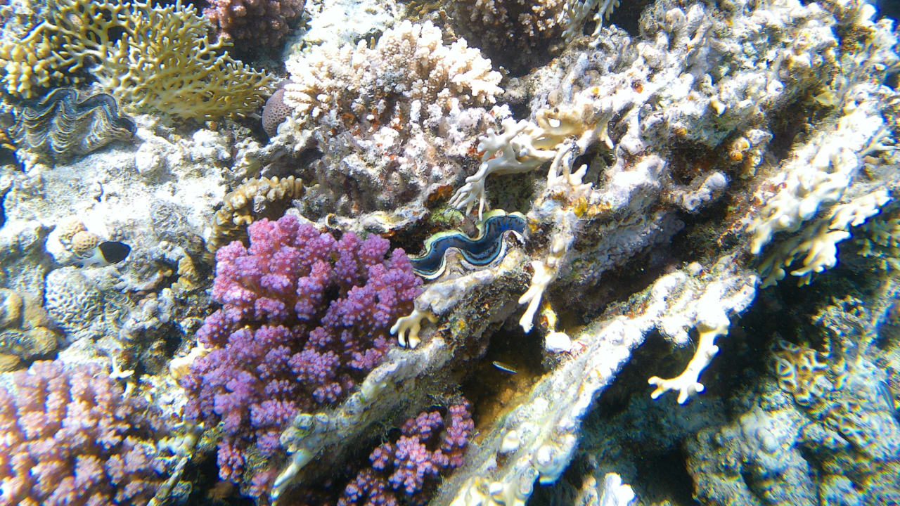 Sport & Freizeit Makadi Spa - Adults only