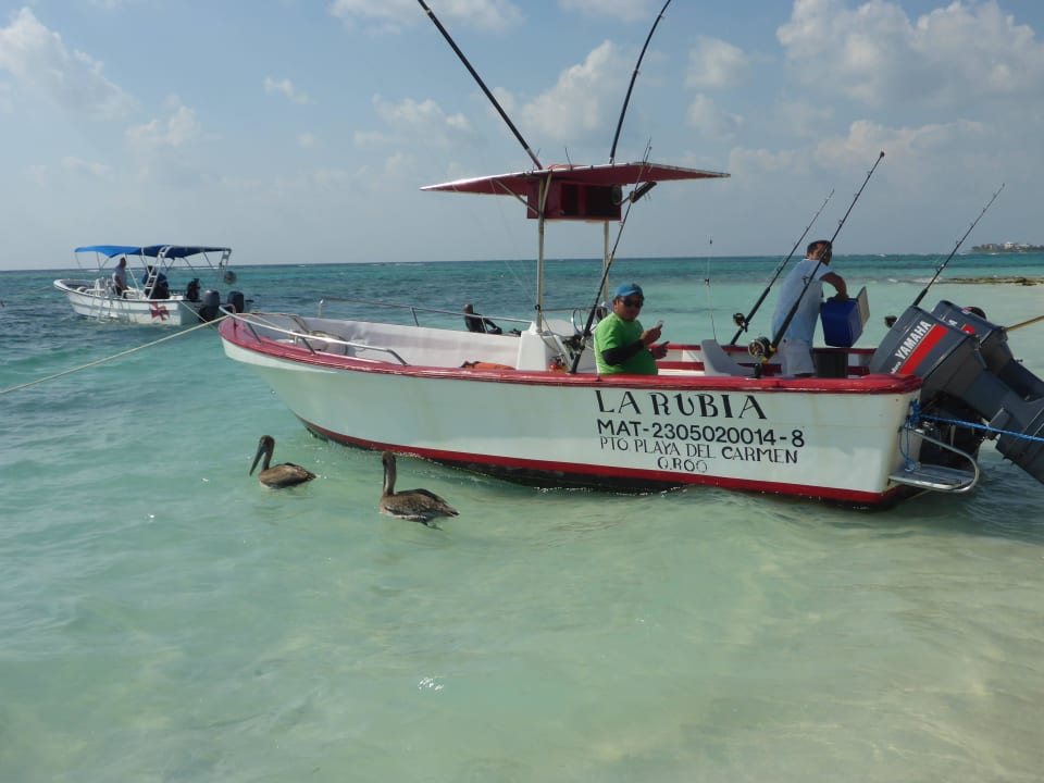Pelikane Akumal Bay Beach & Wellness Resort
