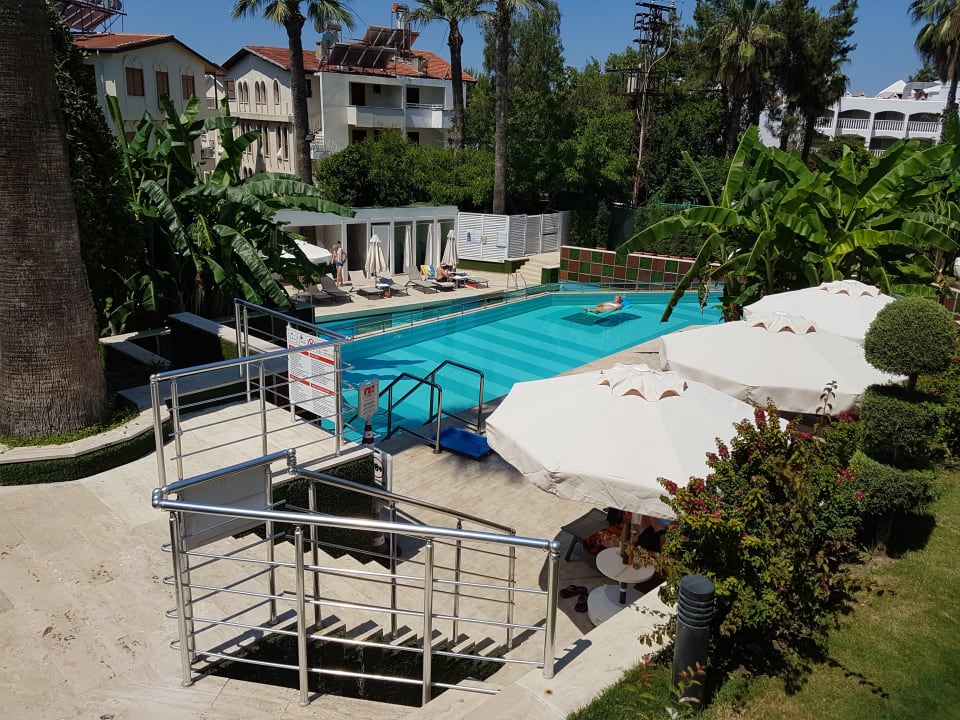 Pool Side Star Elegance