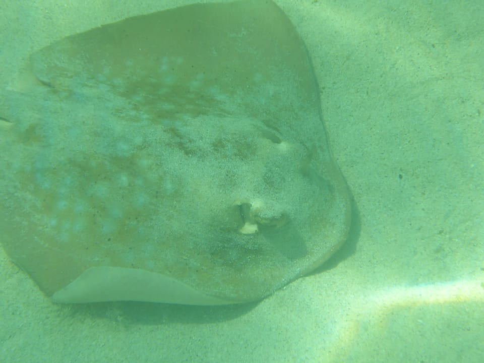 Strand Wyndham Garden Salalah Mirbat