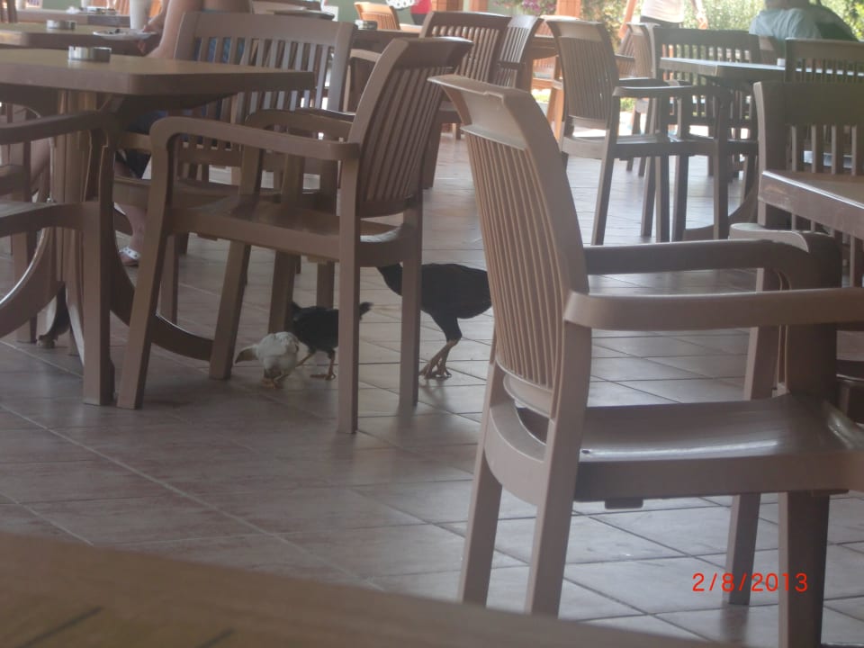 VON Club Golden Beach VONRESORT Golden Beach