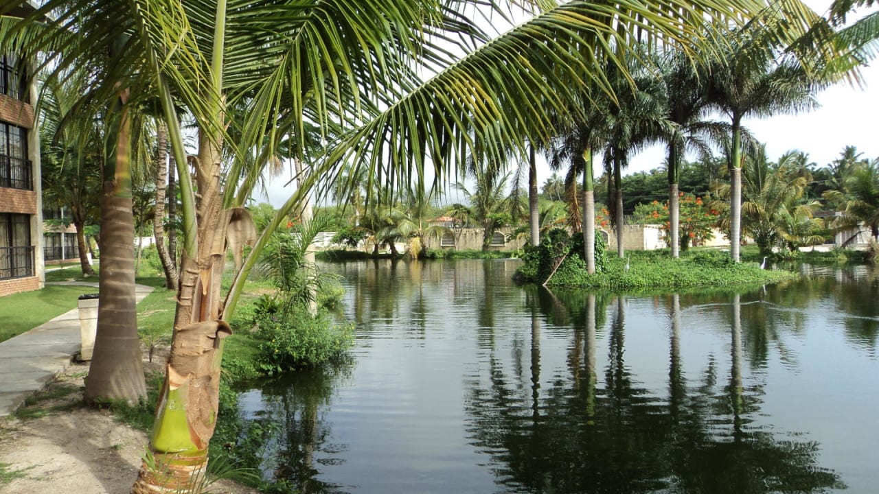 Hotel-Lagune Villas Bavaro Resort & Spa