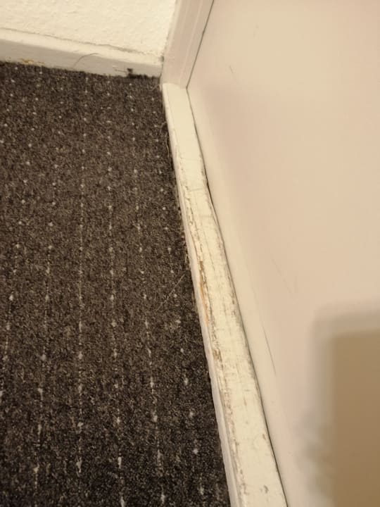 Zimmer Pension Messe am Funkturm