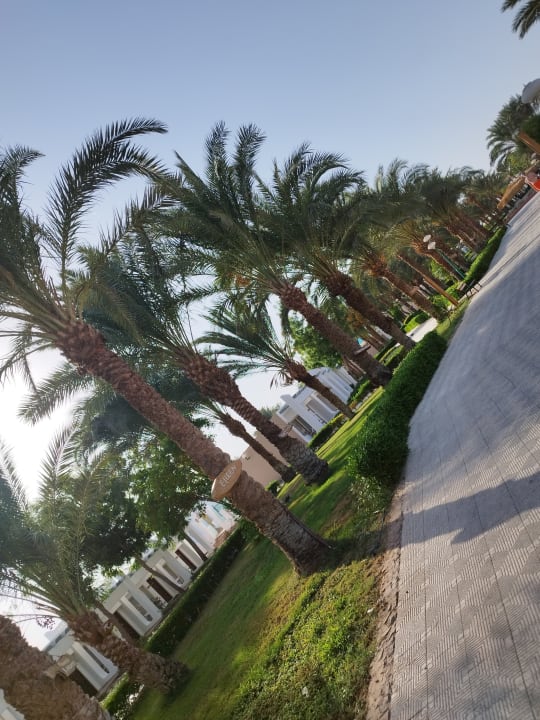 Gartenanlage Menaville Safaga