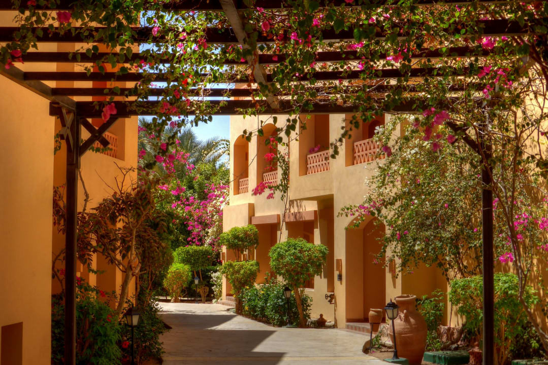 Sonstiges Steigenberger Coraya Beach - Adults only