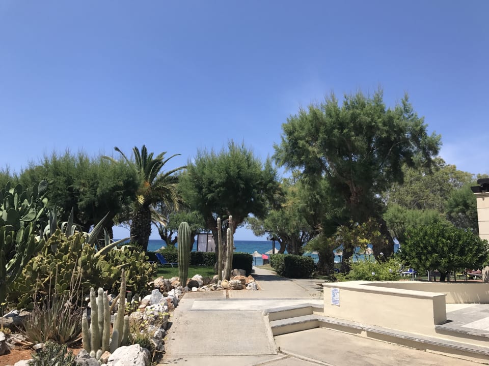 Ausblick Phãea Cretan Malia