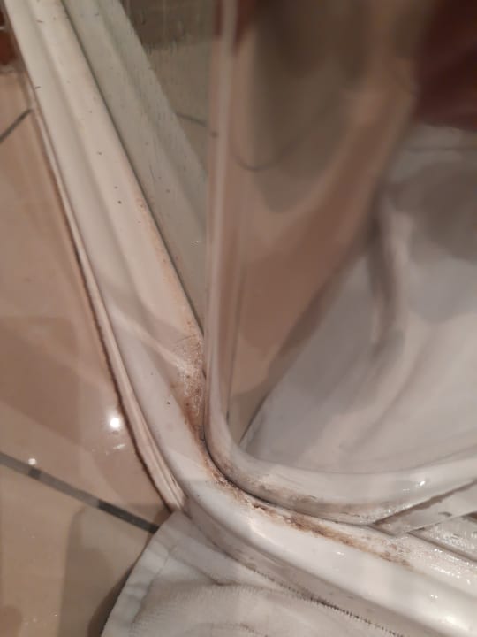 Zimmer Hotel De France Et Chateaubriand