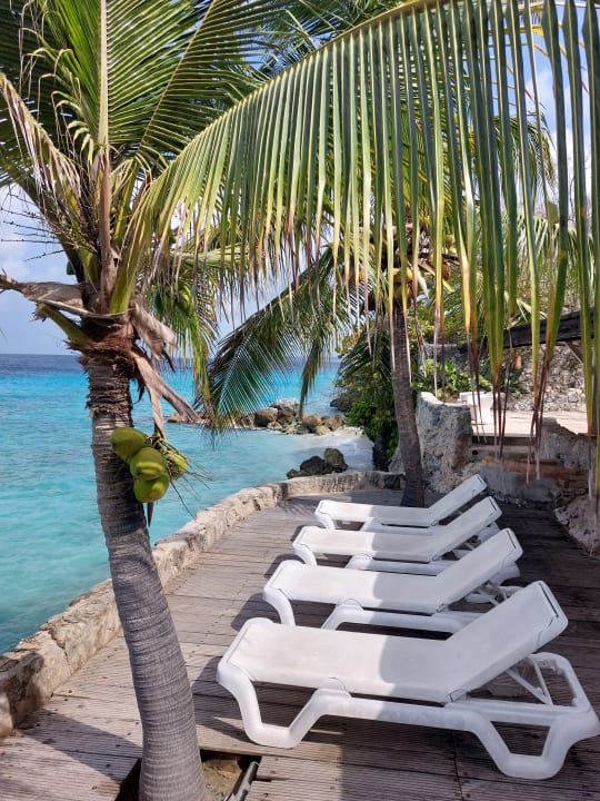 Zimmer Sun Reef Village on Sea