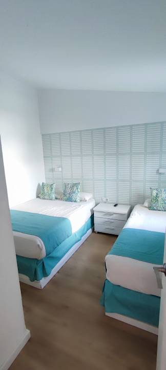 Zimmer Canary Garden Club