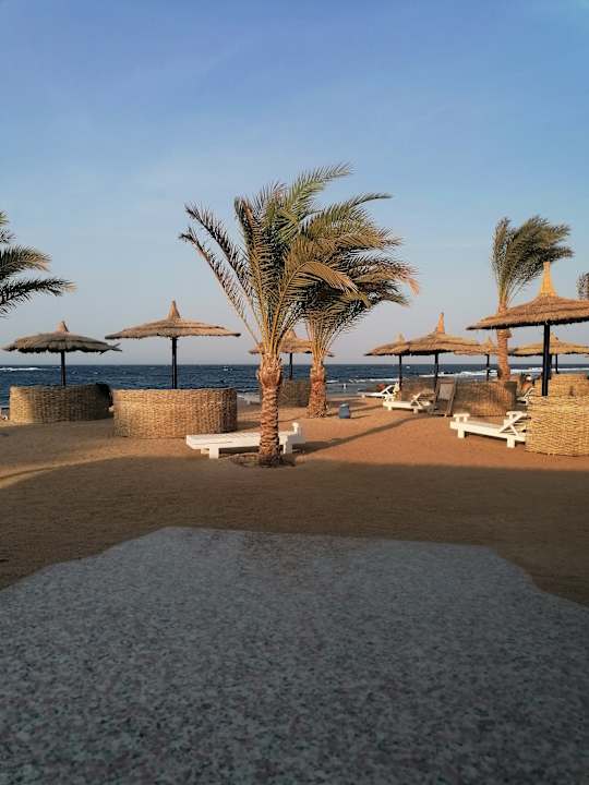 Strand Coral Sun Beach